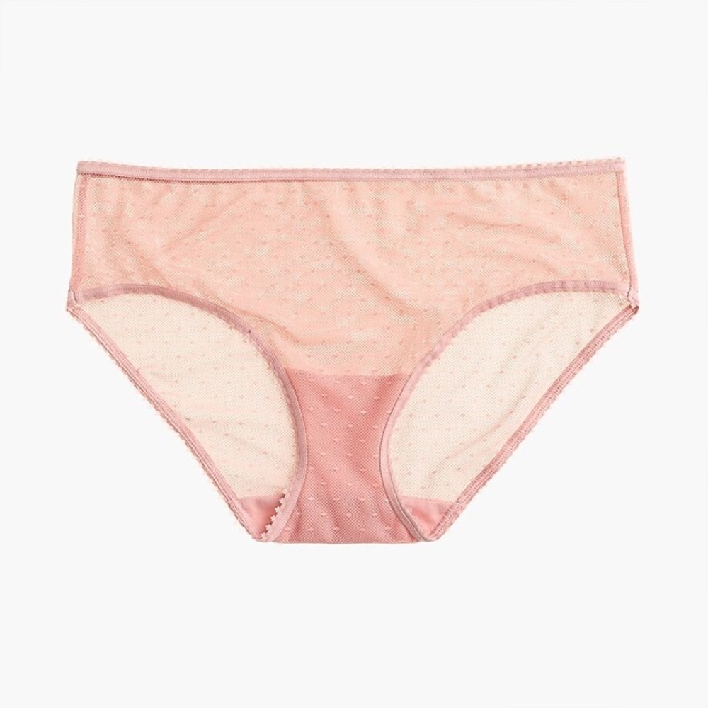 J. Crew Point D’Esprit Hipster Panty